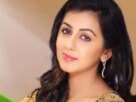 Actor Nikki Galrani’s 19-year-old House Help Arrested For Stealing Articles, Clothes