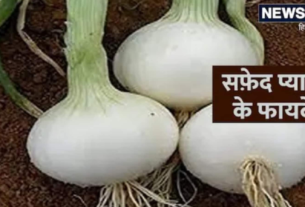 From Digestion To Heart Health, White Onion May Help You in Innumerable Ways