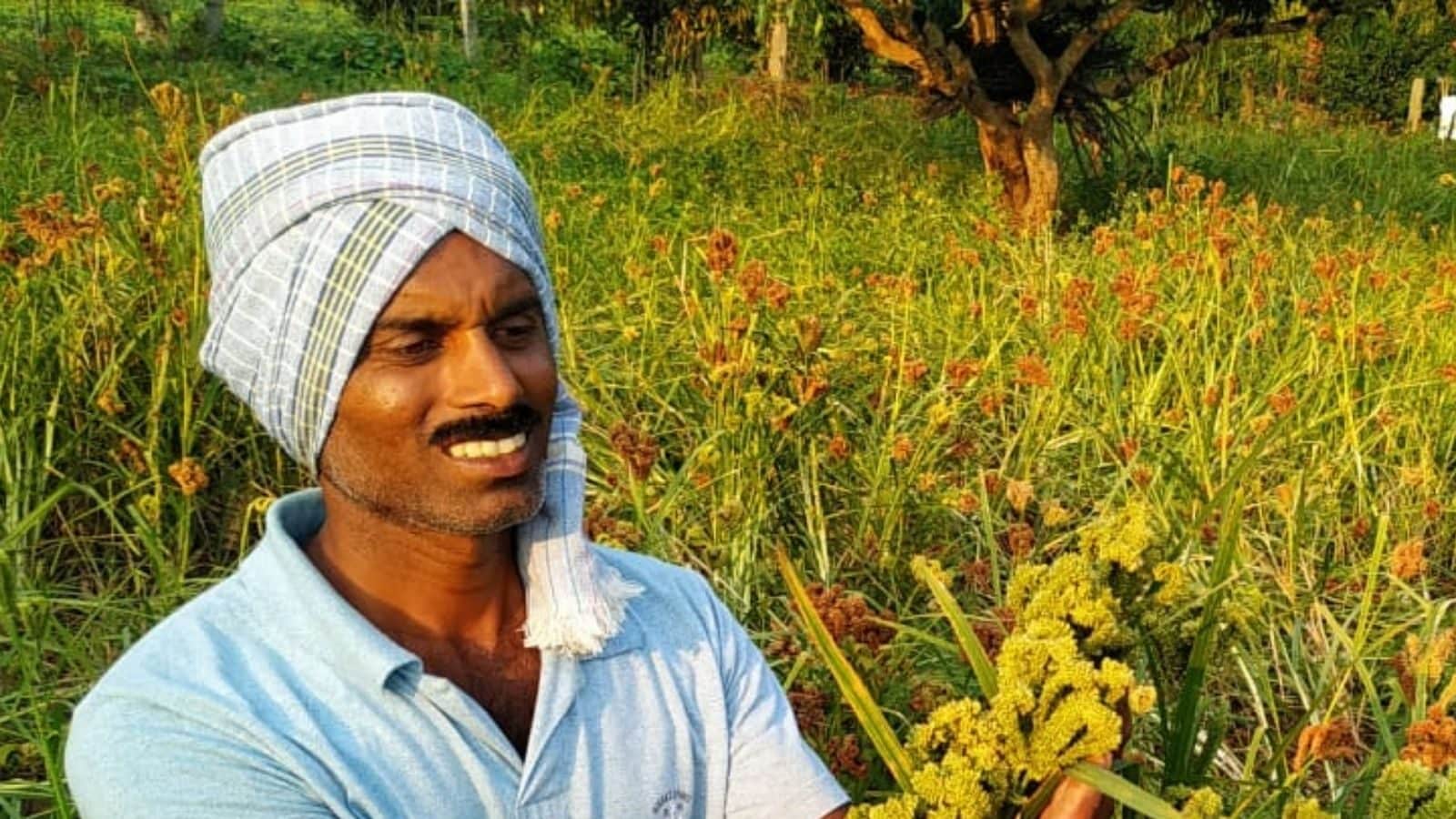Karnataka Farmer Grows 72 Kinds of Ragi in 20 Cent Plot, Revives Heirloom Varieties