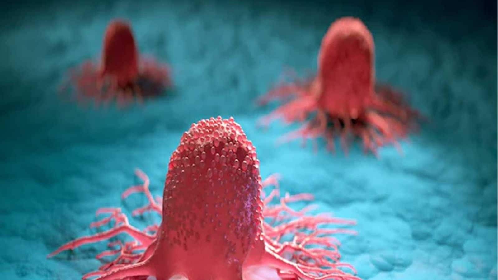 Scientists Discover New Therapy that Weakens Cancer Tumours Rapidly