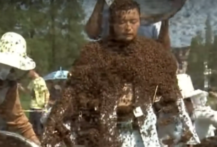 WATCH: Chinese Man Covers Entire Body with 6 Lakh Bees, Sets Guinness World Record