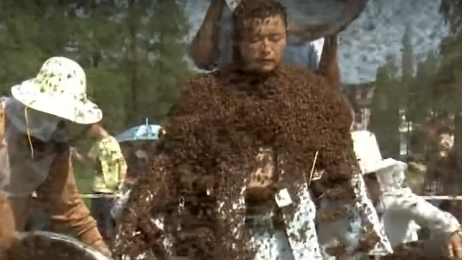 WATCH: Chinese Man Covers Entire Body with 6 Lakh Bees, Sets Guinness World Record