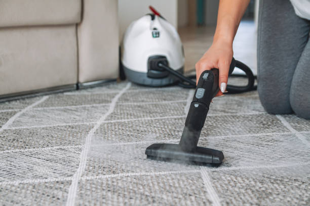 professional carpet cleaners in London